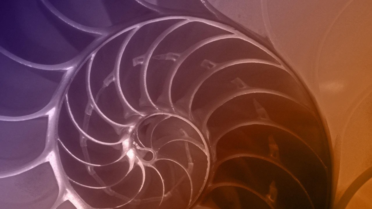 Nova: The Great Math Mystery