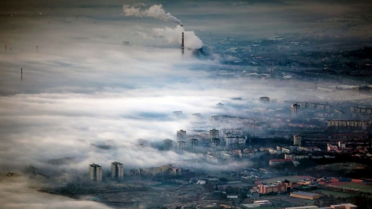Image du film L'Homme a mangé la terre