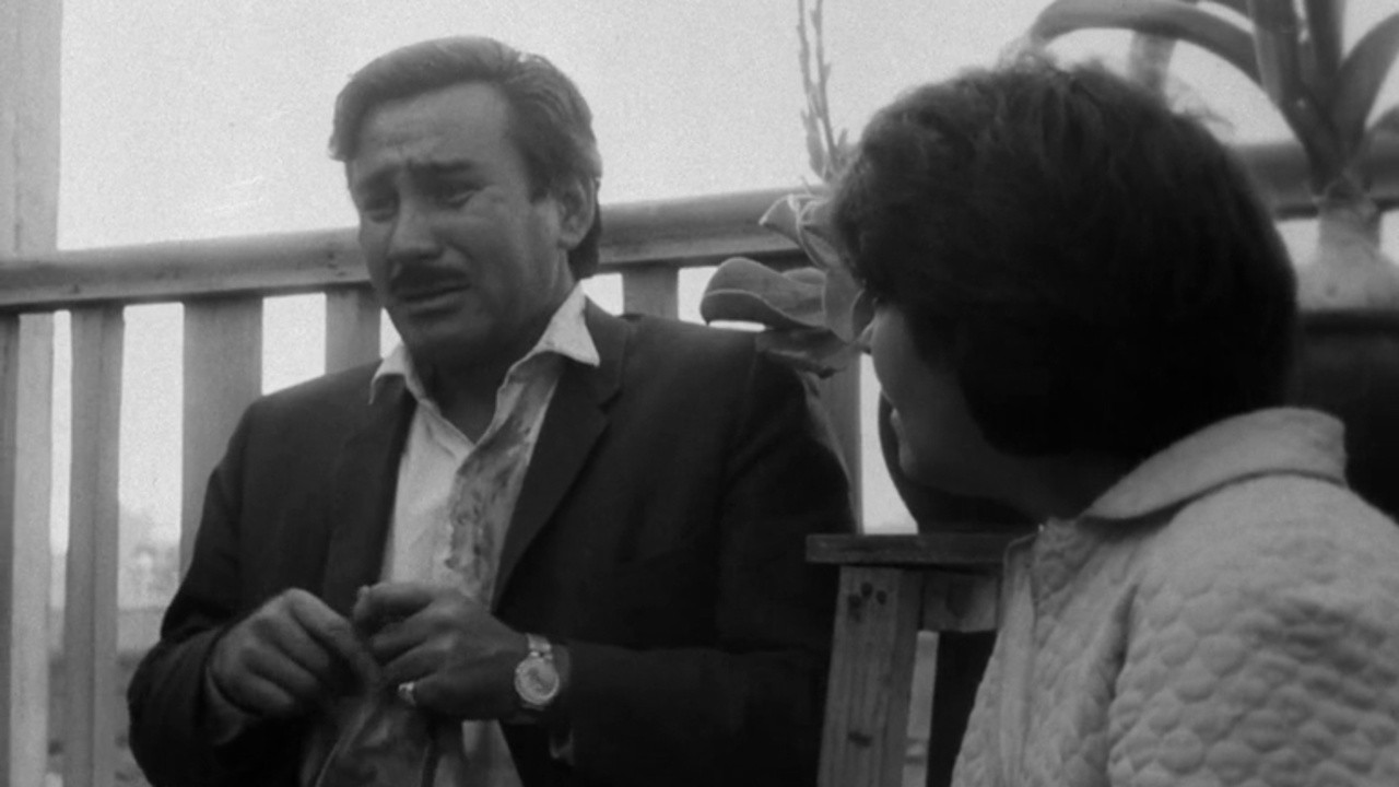 Image du film Trois Tristes Tigres