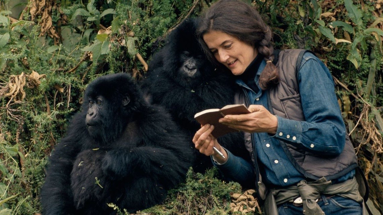 Dian Fossey: Secrets in the Mist