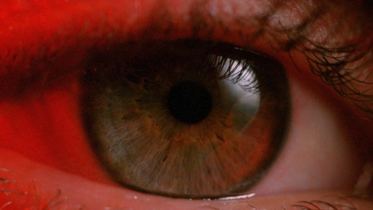 White of the Eye