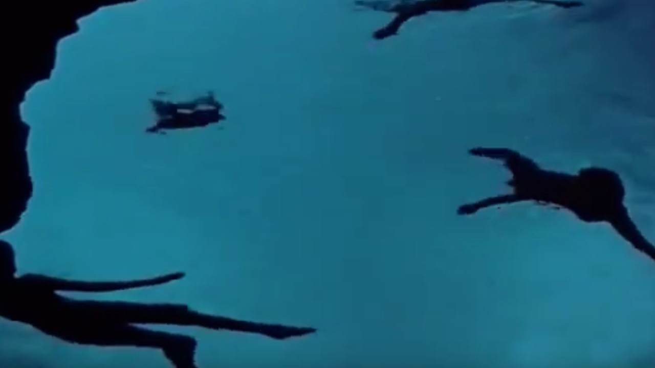 Submarine