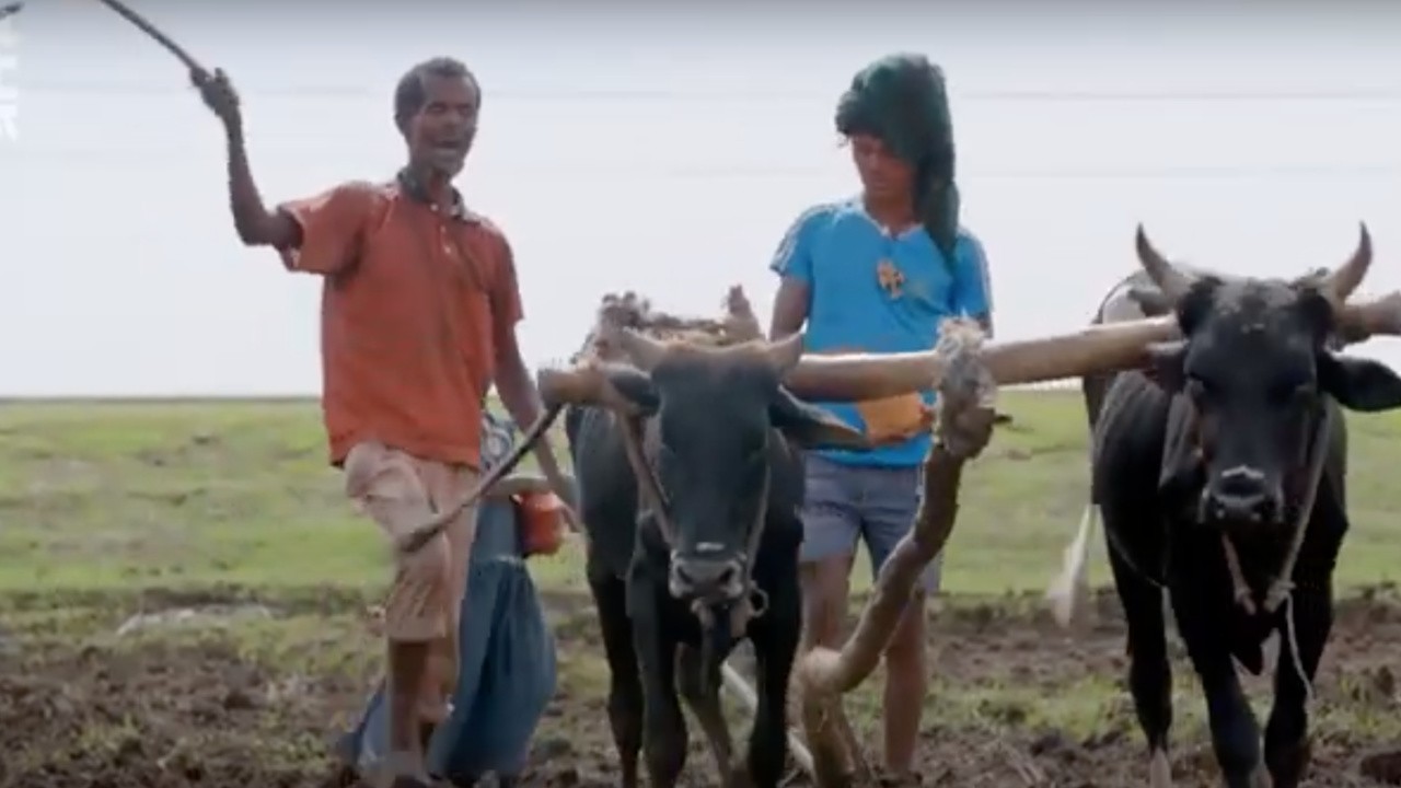 The Urban Experiment: A Future for Ethiopia's Farmers