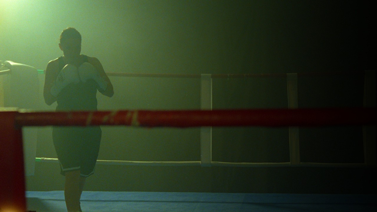 Honey Bunny Duracell