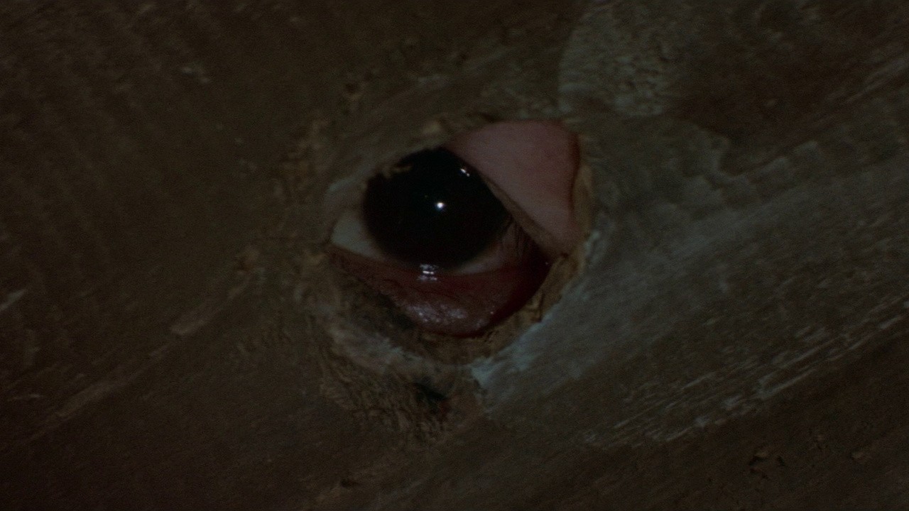 The Watcher in the Attic