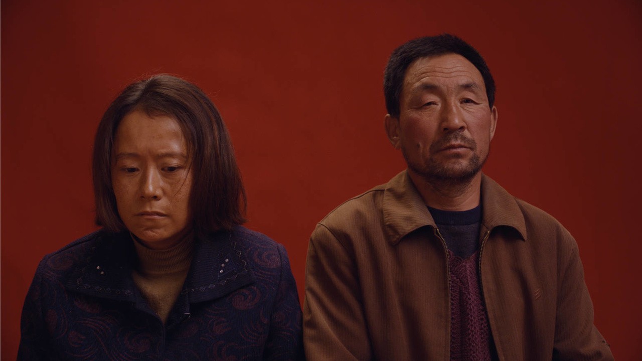 Image du film Le Retour des hirondelles