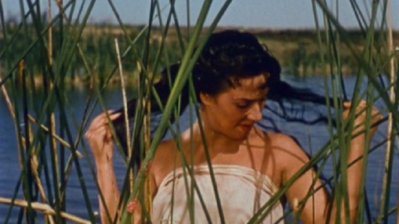 El último perro (1956) MUBI