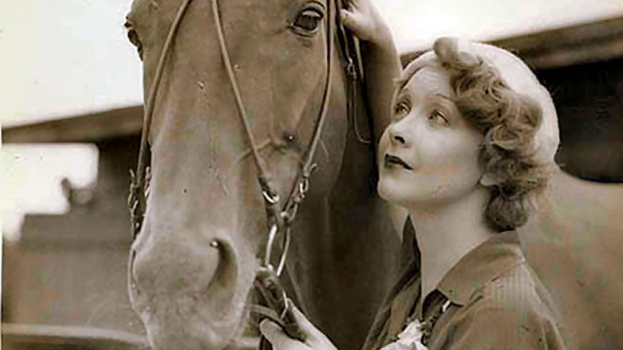 Thoroughbred