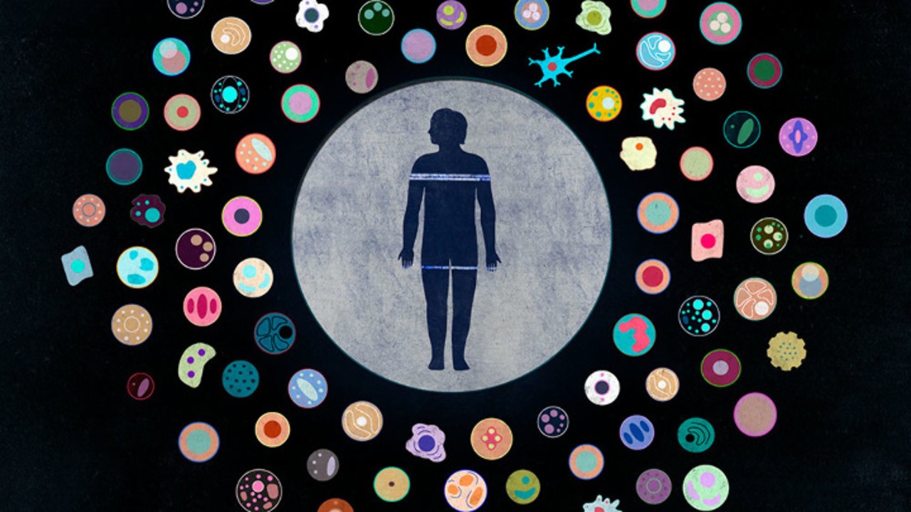 More Life - Decoding the Secret of Aging