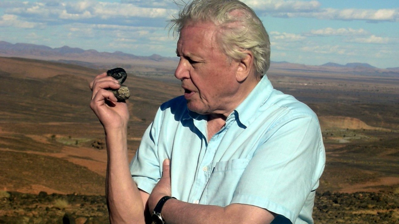 David Attenborough's First Life