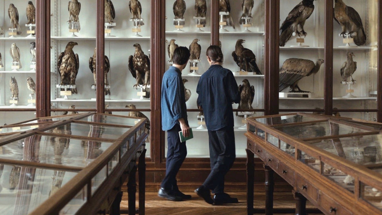 Image du film Langue des oiseaux