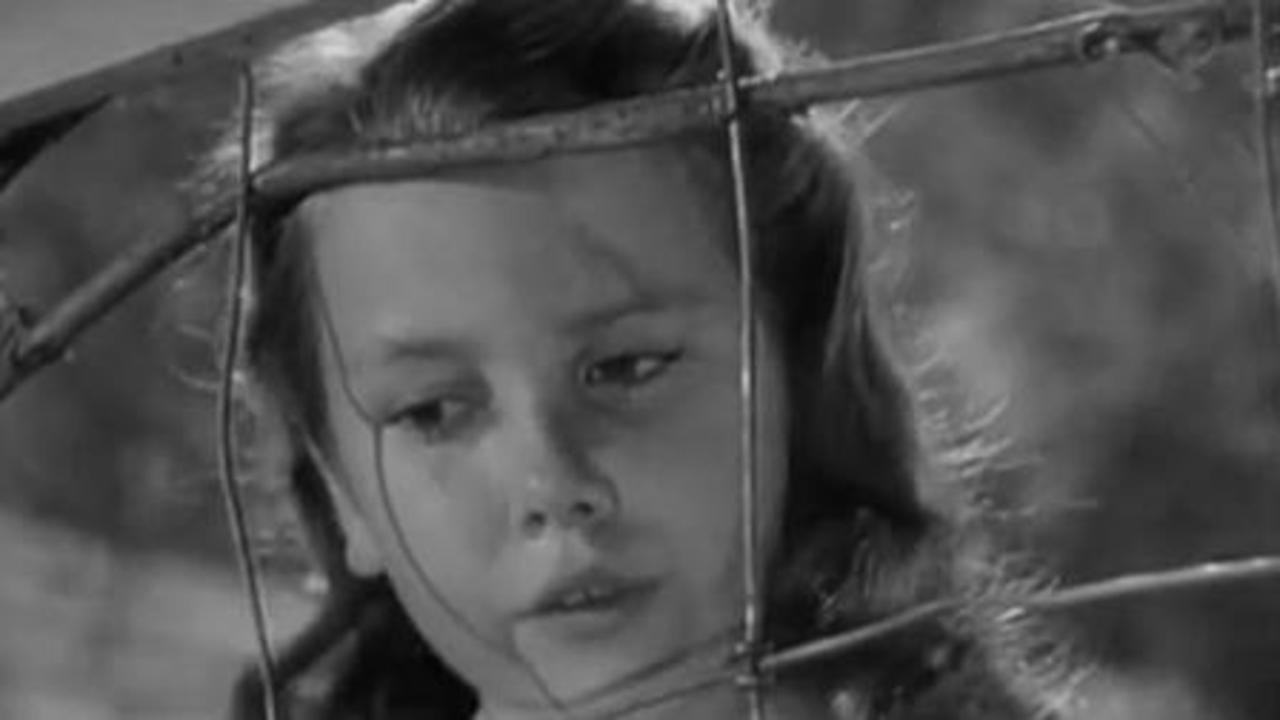 Image du film Banjo