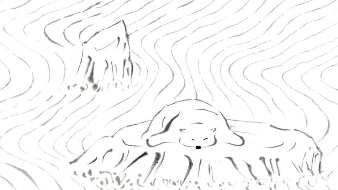 Polar Bear Bears Boredom