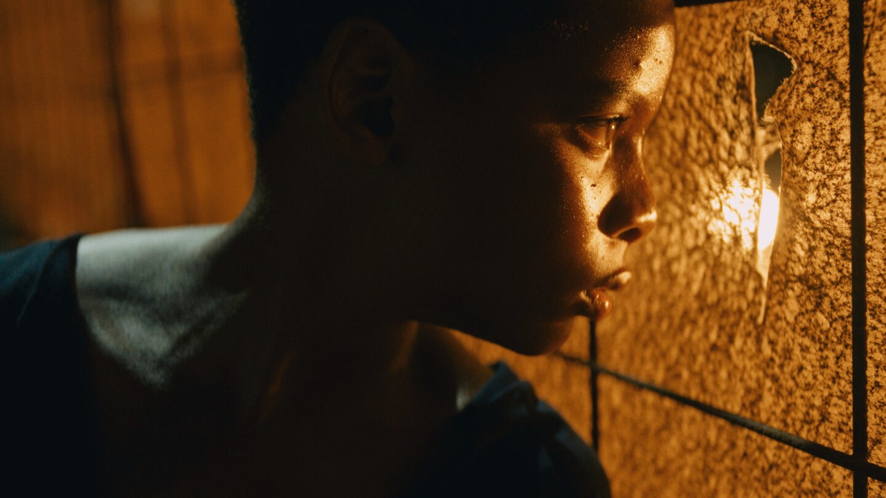 Tropic of Violence