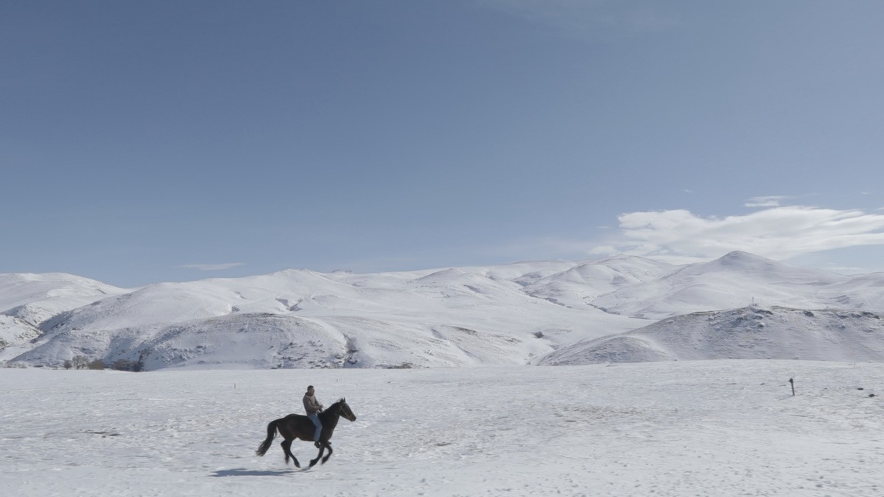 Image du film 5 dreamers and a horse