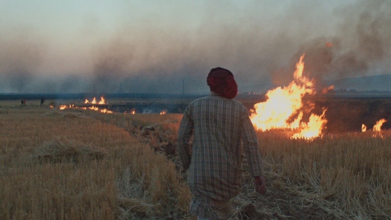 Image du film Rojek