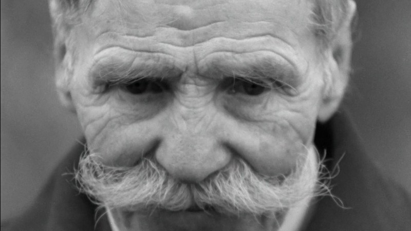 Old Man and the Land