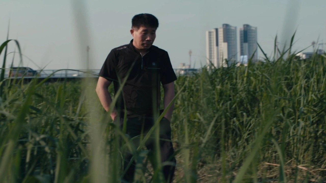 Catching a Killer: The Hwaseong Murders