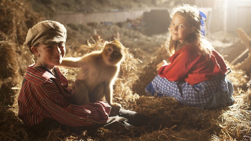 Monkey Business from A to Z