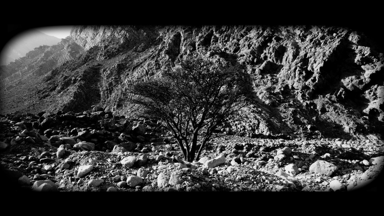 Rocks in a Windless Wadi