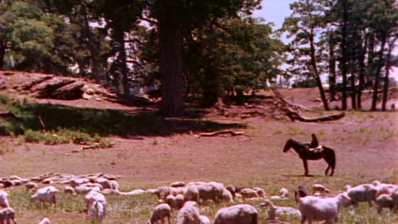 Tale of the Navajos