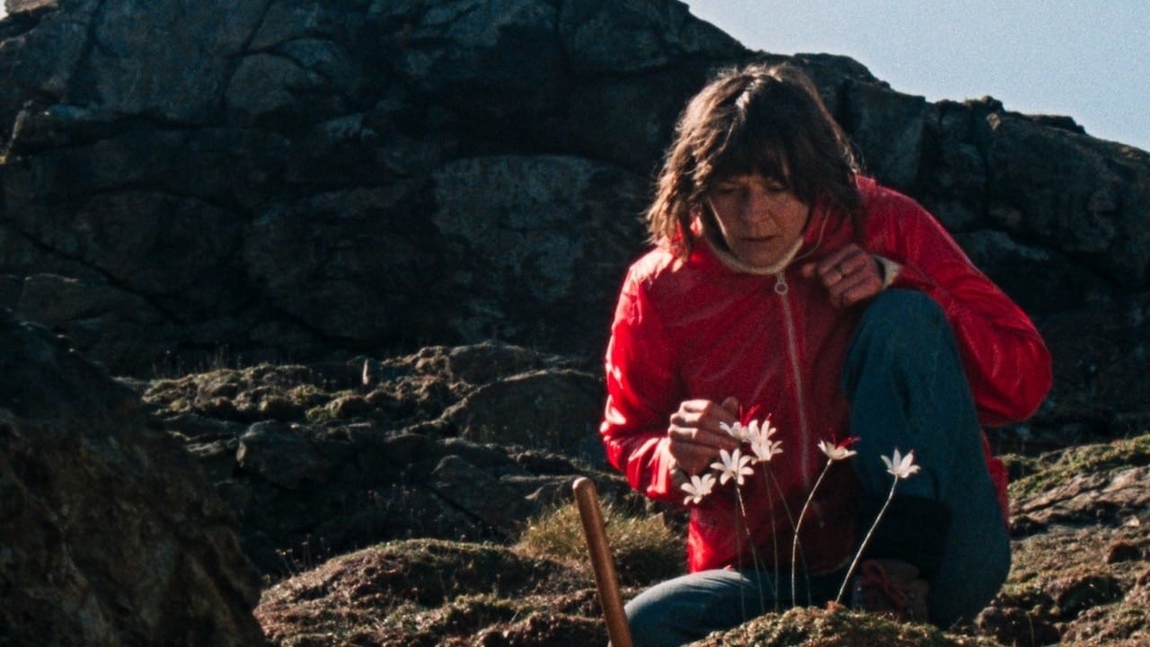 Image du film Enys Men