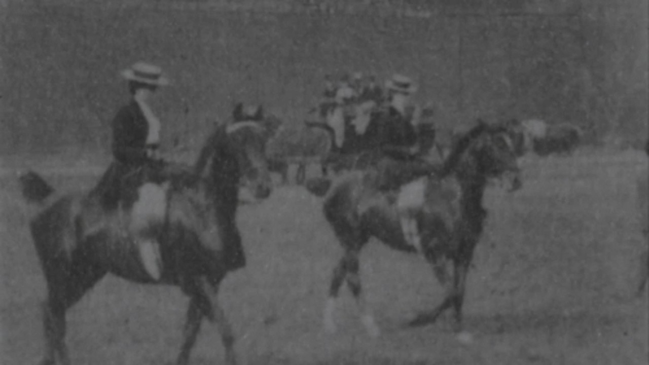 Judging Ladies' Saddle Horses