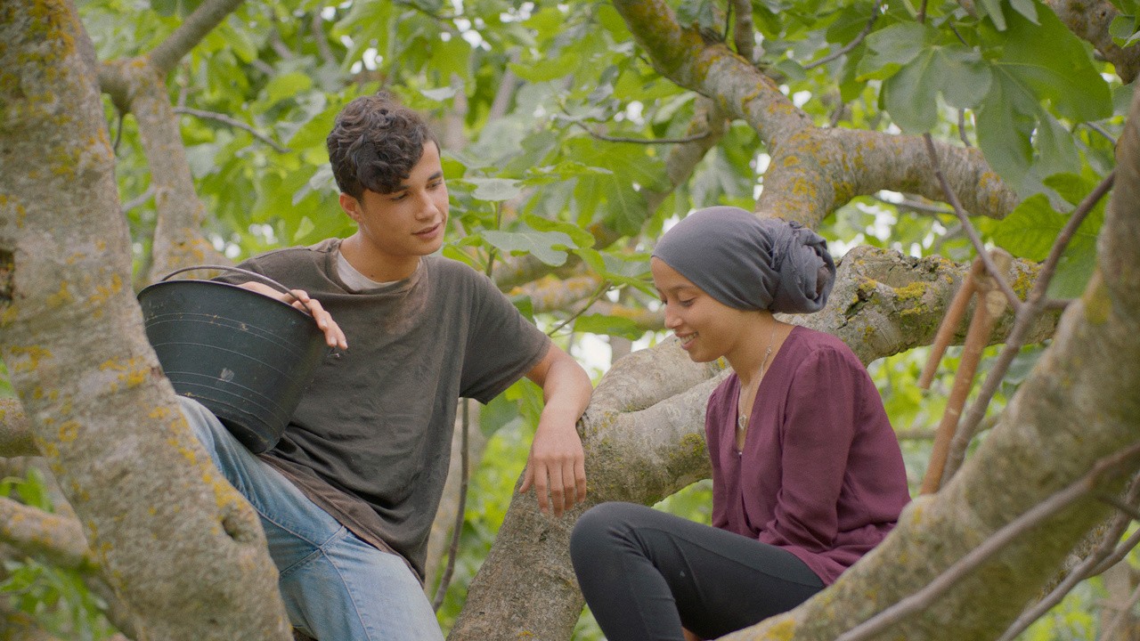 Image du film Sous les figues