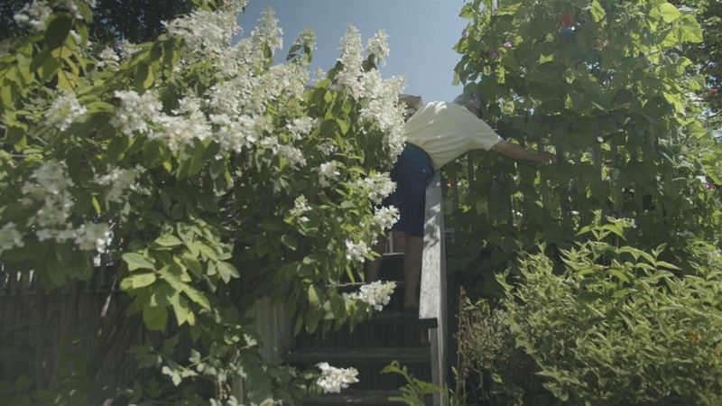 Pappy's Garden