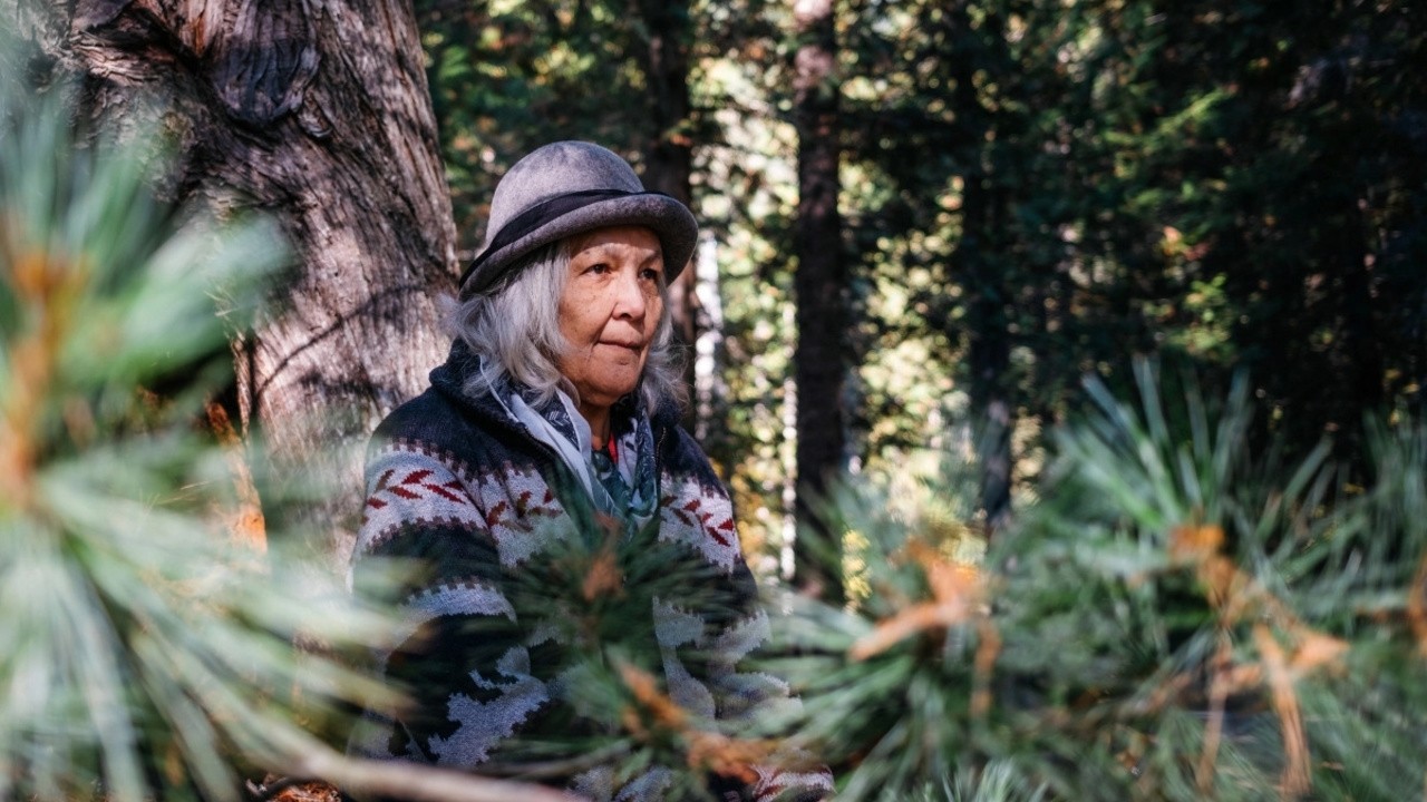 Beyond Extinction: Sinixt Resurgence