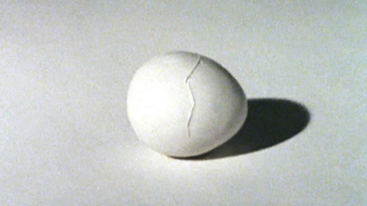 Canada Vignettes: The Egg