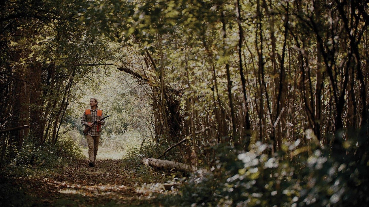 Deep Woods