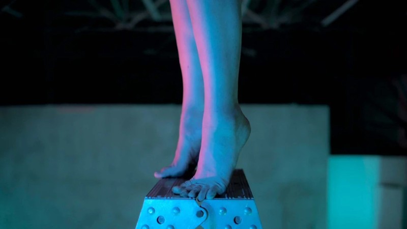 Ladder Tree Movie Plum tree / gorilla / ladder (2022) | MUBI
