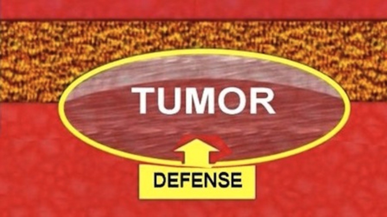 Cancer: The Forbidden Cures