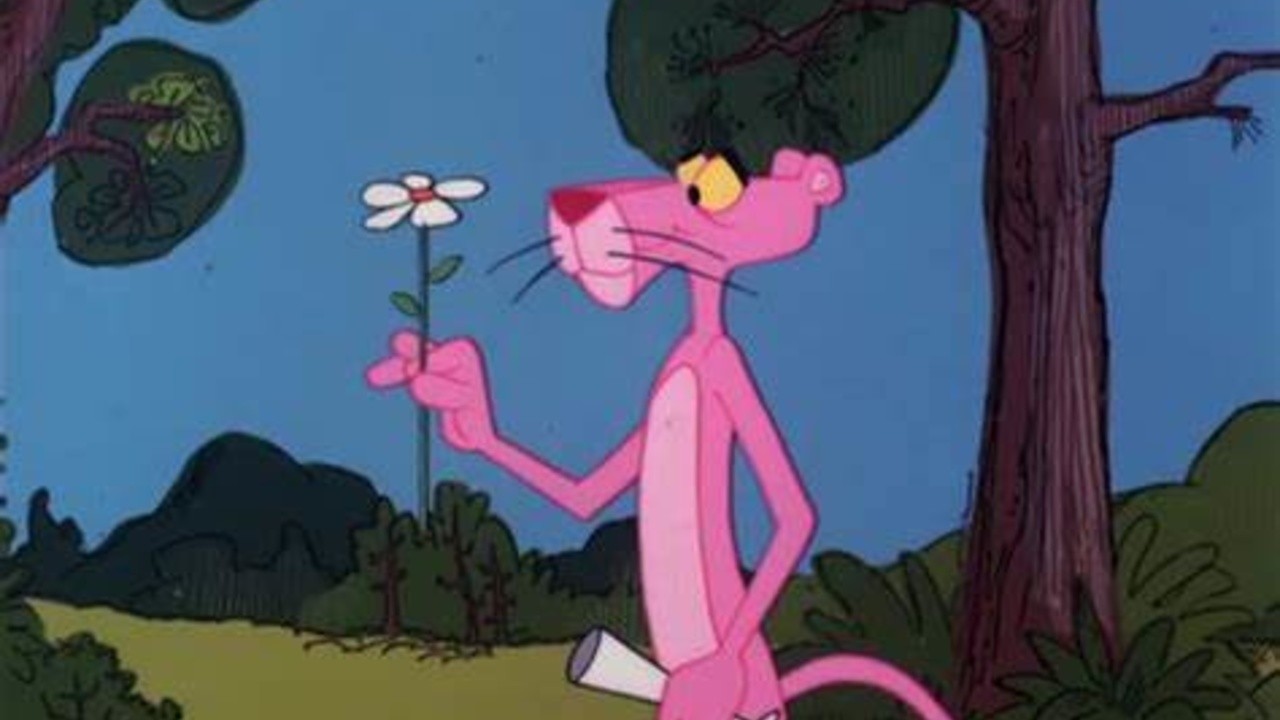Pink Pictures (1978) | MUBI