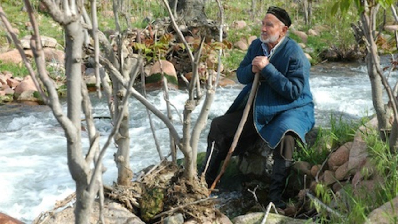 On the Riverbank Where the Childhood Was Left