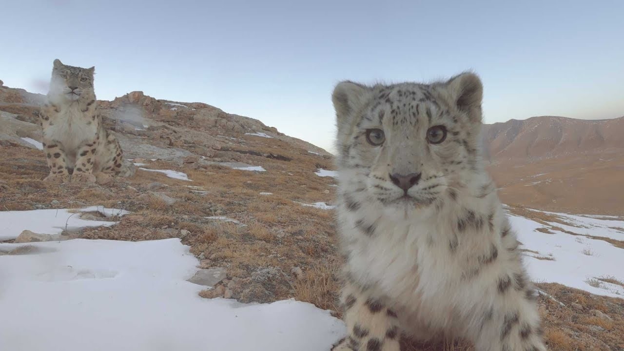 Ghost of the Mountains