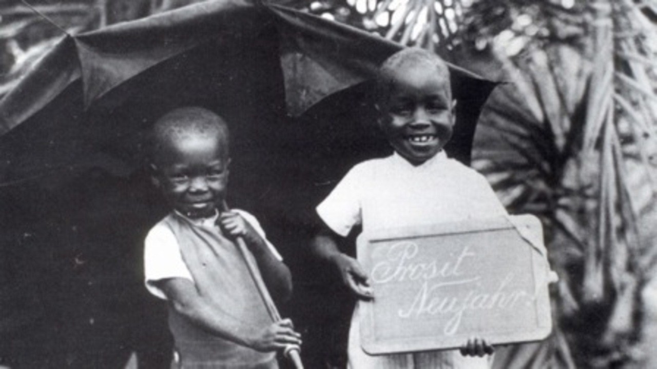 Image du film Afrique, je te plumerai