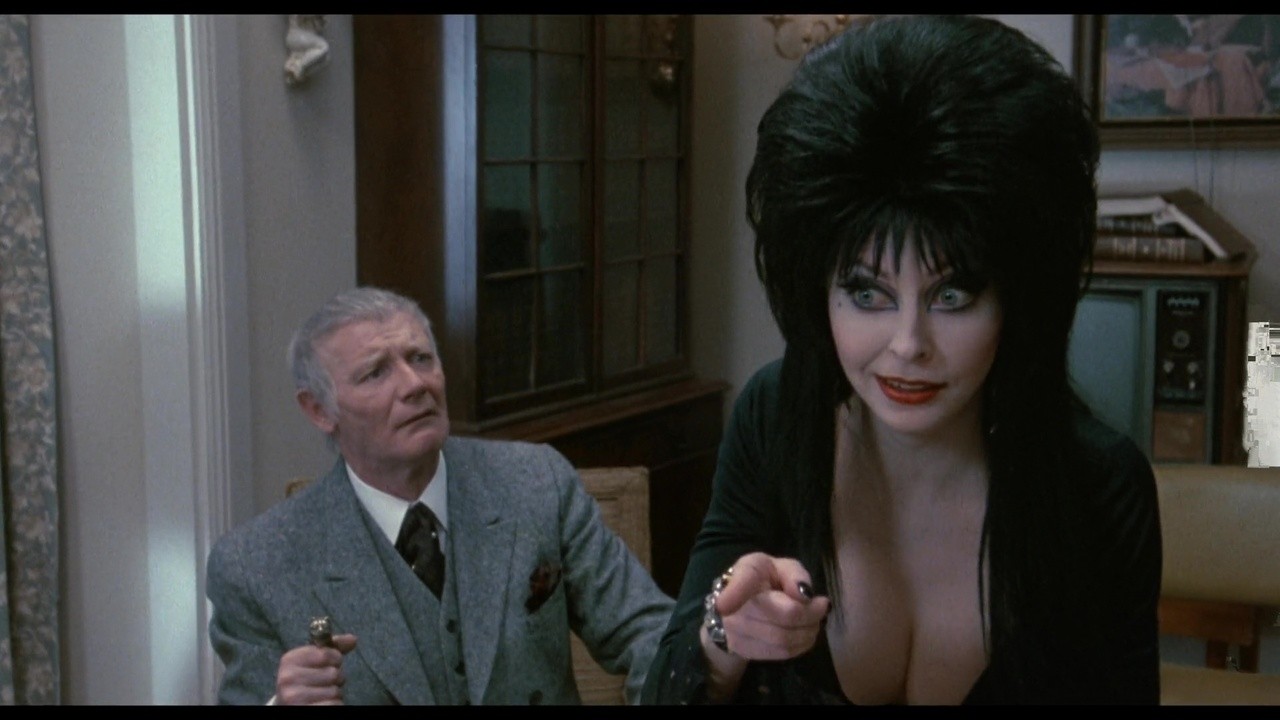 Too Macabre: The Making of Elvira, Mistress of the Dark