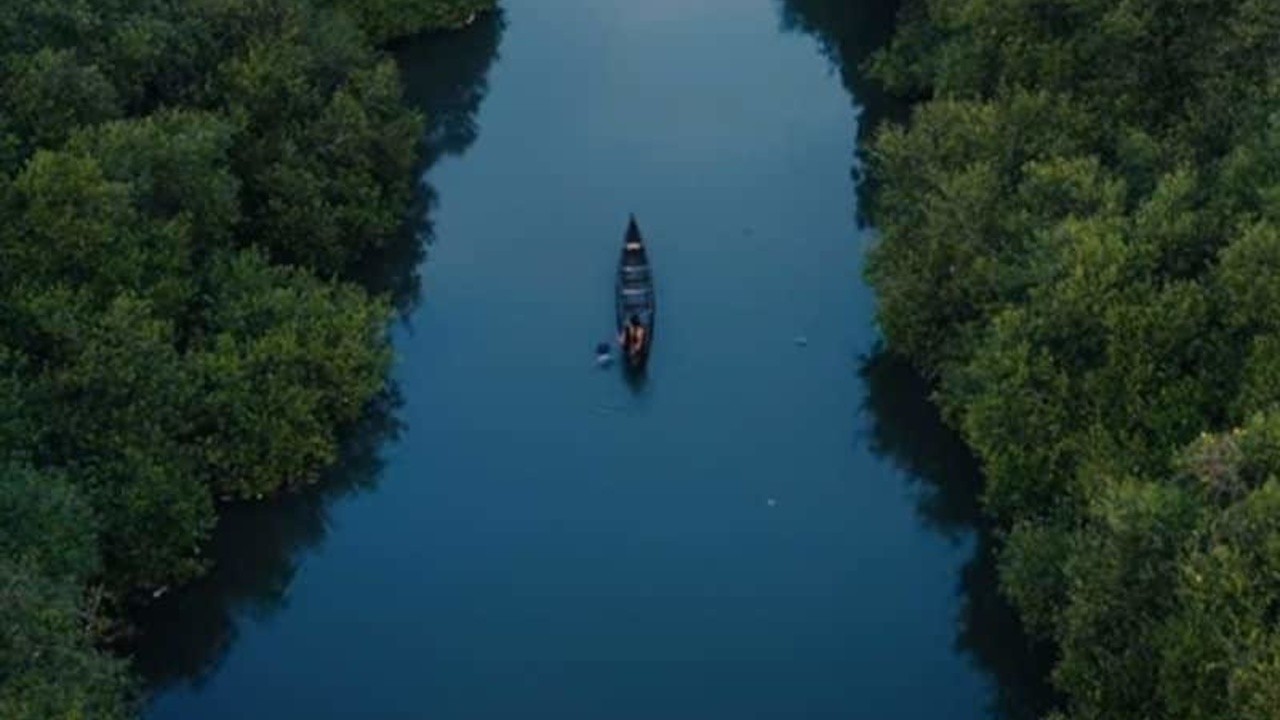Aavasavyuham: The Arbit Documentation of an Amphibian Hunt