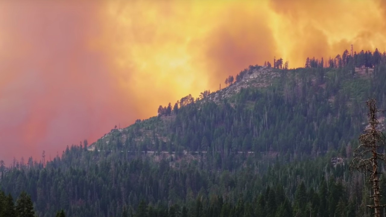 Afterburn: The Creek Fire Documentary