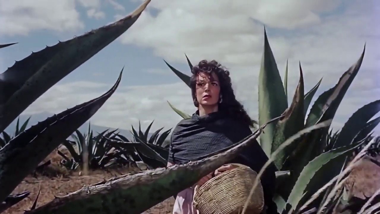 Arturo Martínez Películas, biografías y listas en MUBI