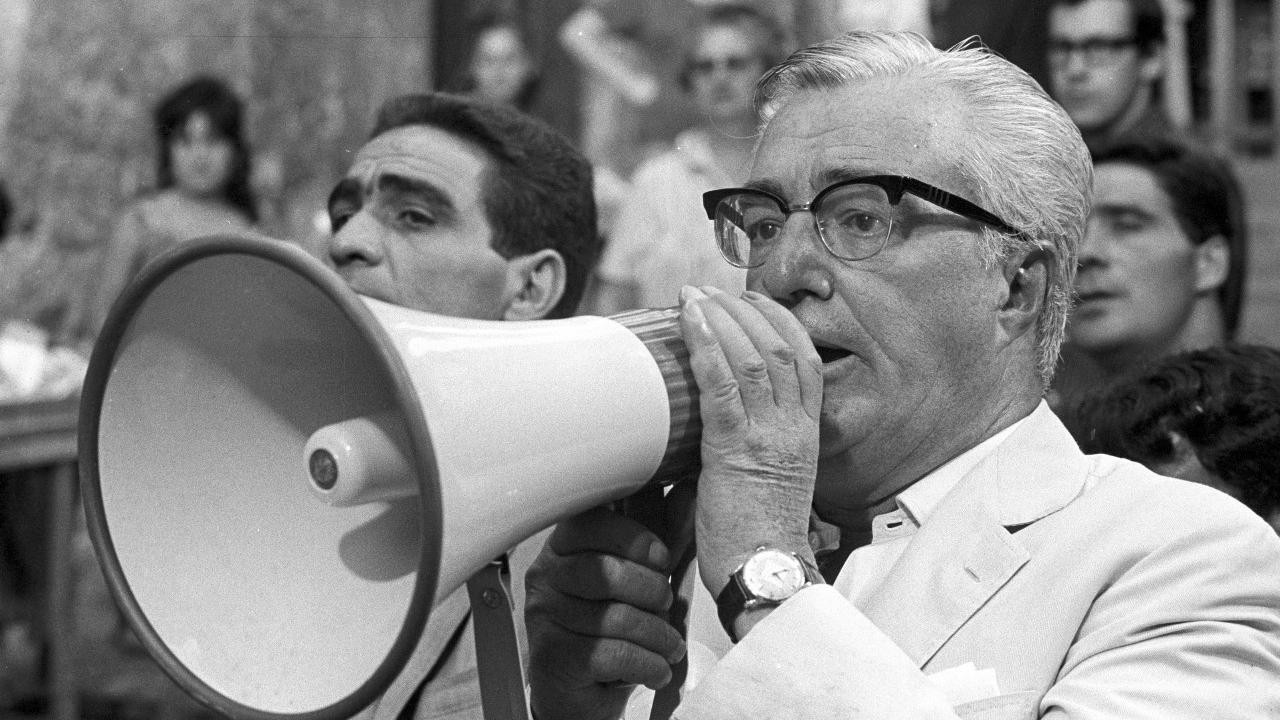 Vittorio D.