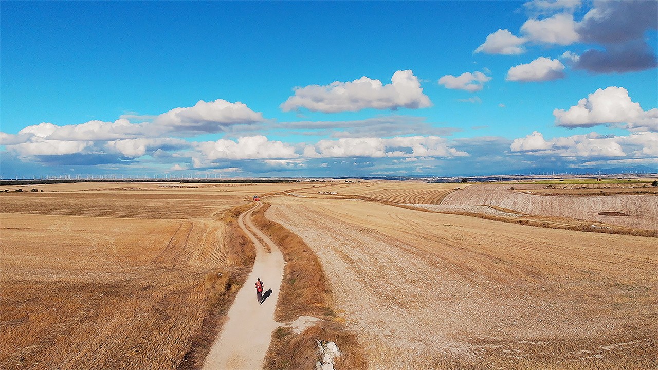Image du film Retrouver le chemin