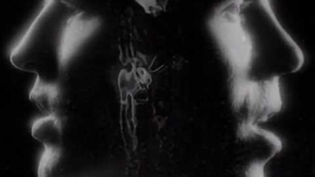 Crowded House: Fall at Your Feet [MV]