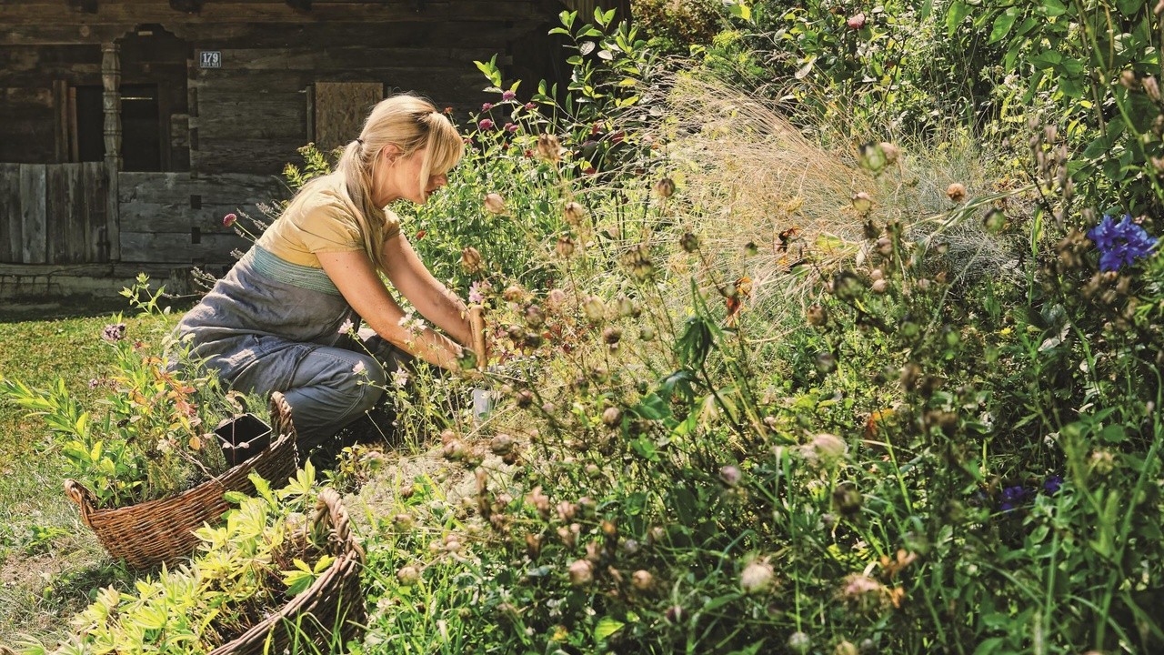 The Gardener