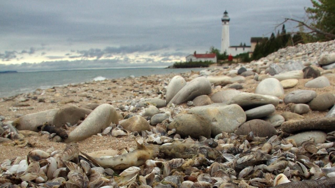 Drain the Great Lakes (2011) | MUBI