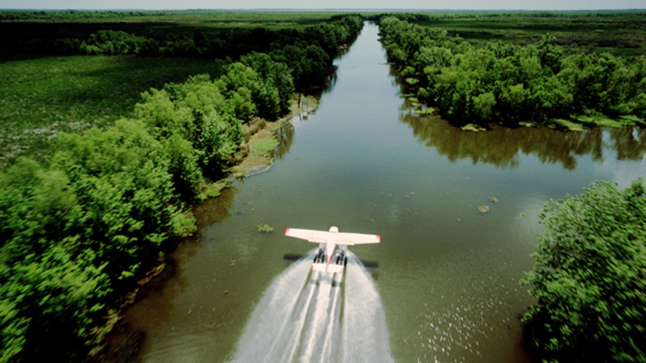 Hurricane on the Bayou