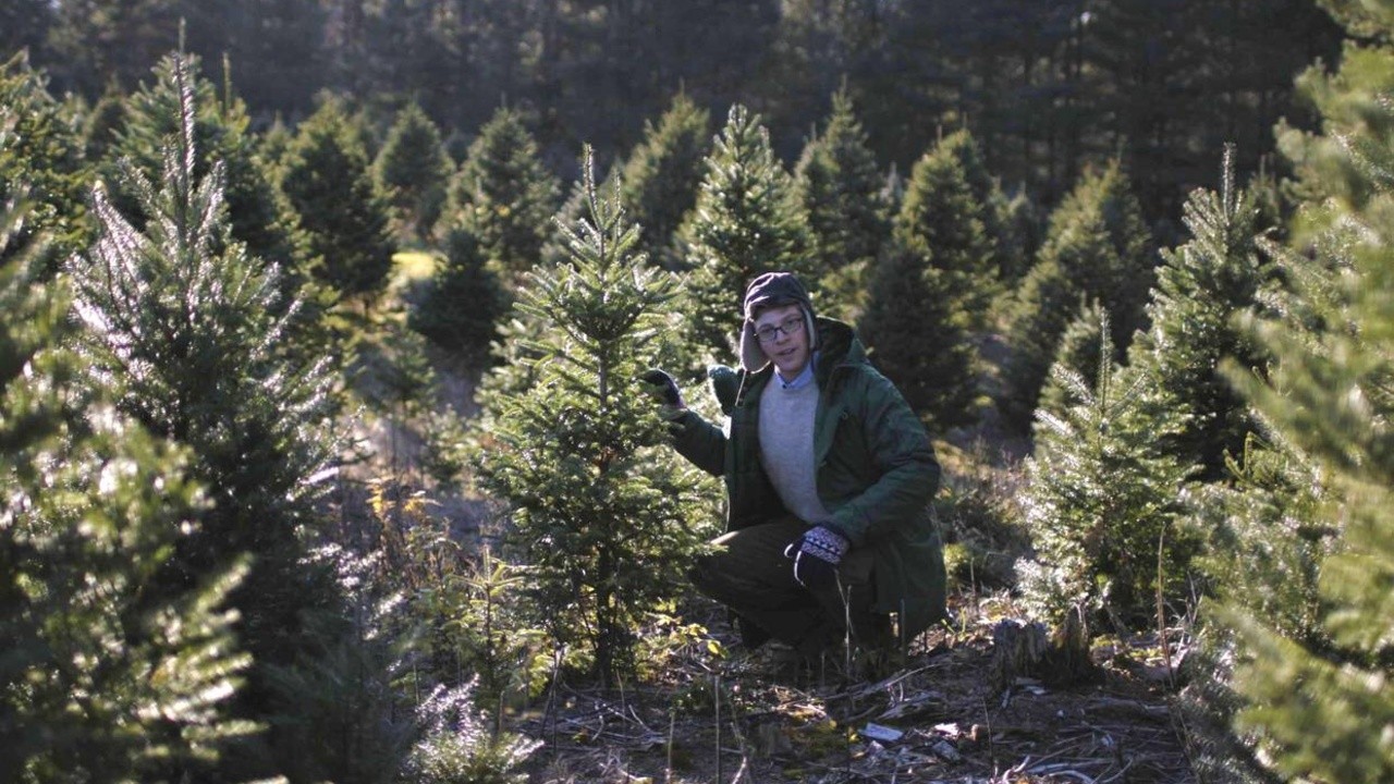 Joe Pera Helps You Find the Perfect Christmas Tree