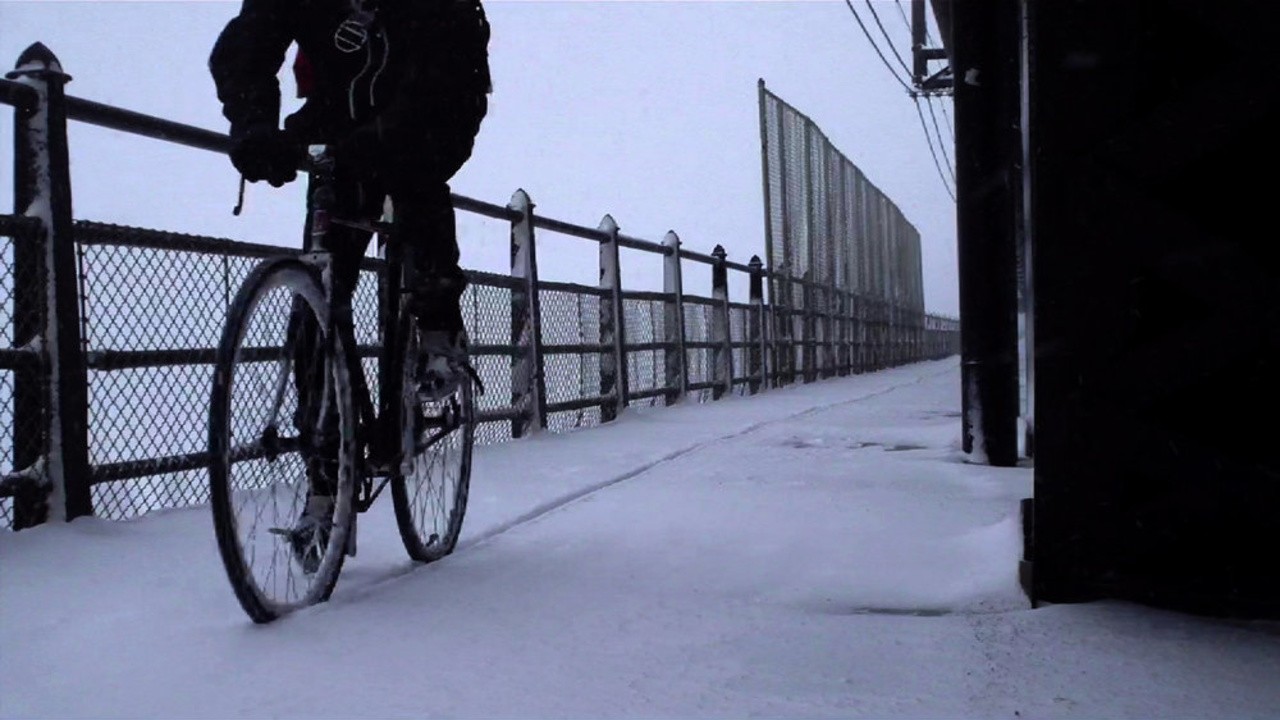 The High Level Bridge